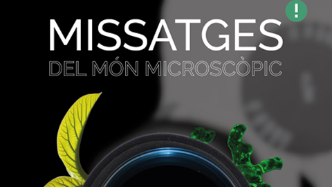 Cartell informatiu sobre l'exposició: Missatges del món microscòpic