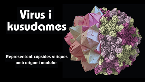 Imatge representantr còpsides víriques amb origami modular