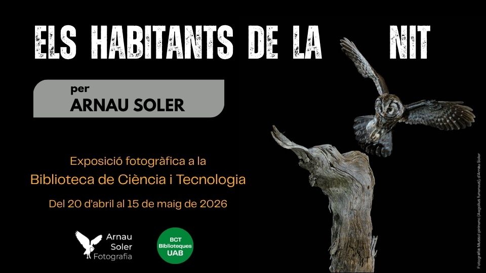 Cartell informatiu de l'exposició: Els habitants de la nit, on surt un mussol volant