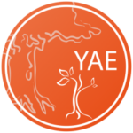YAE Logo