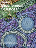 goodsell
