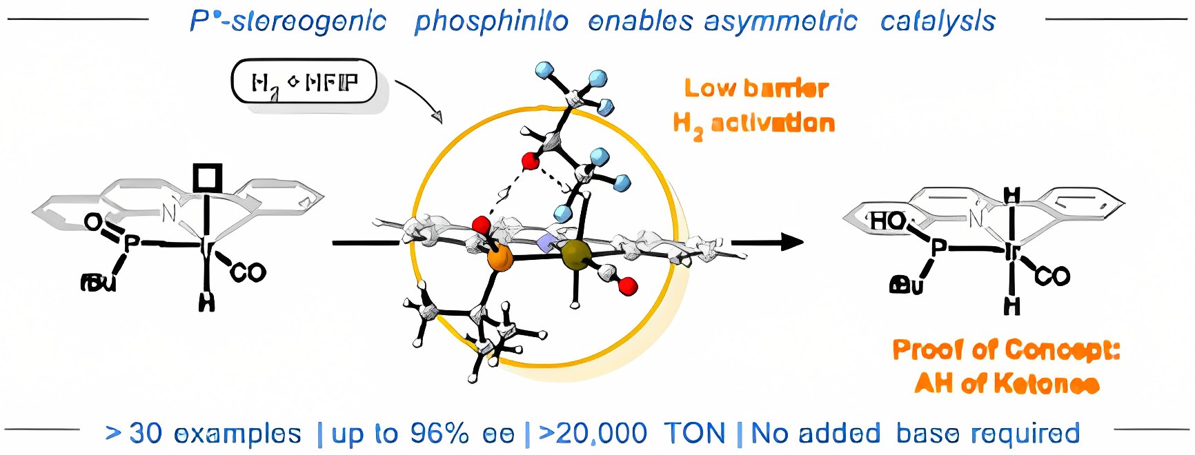 Graphical abstract: Synergistic Mechanism Between Ir–Phosphinito Catalyst and HFIP Enables Asymmetric Hydrogenation of Ketones Under Acidic Conditions
