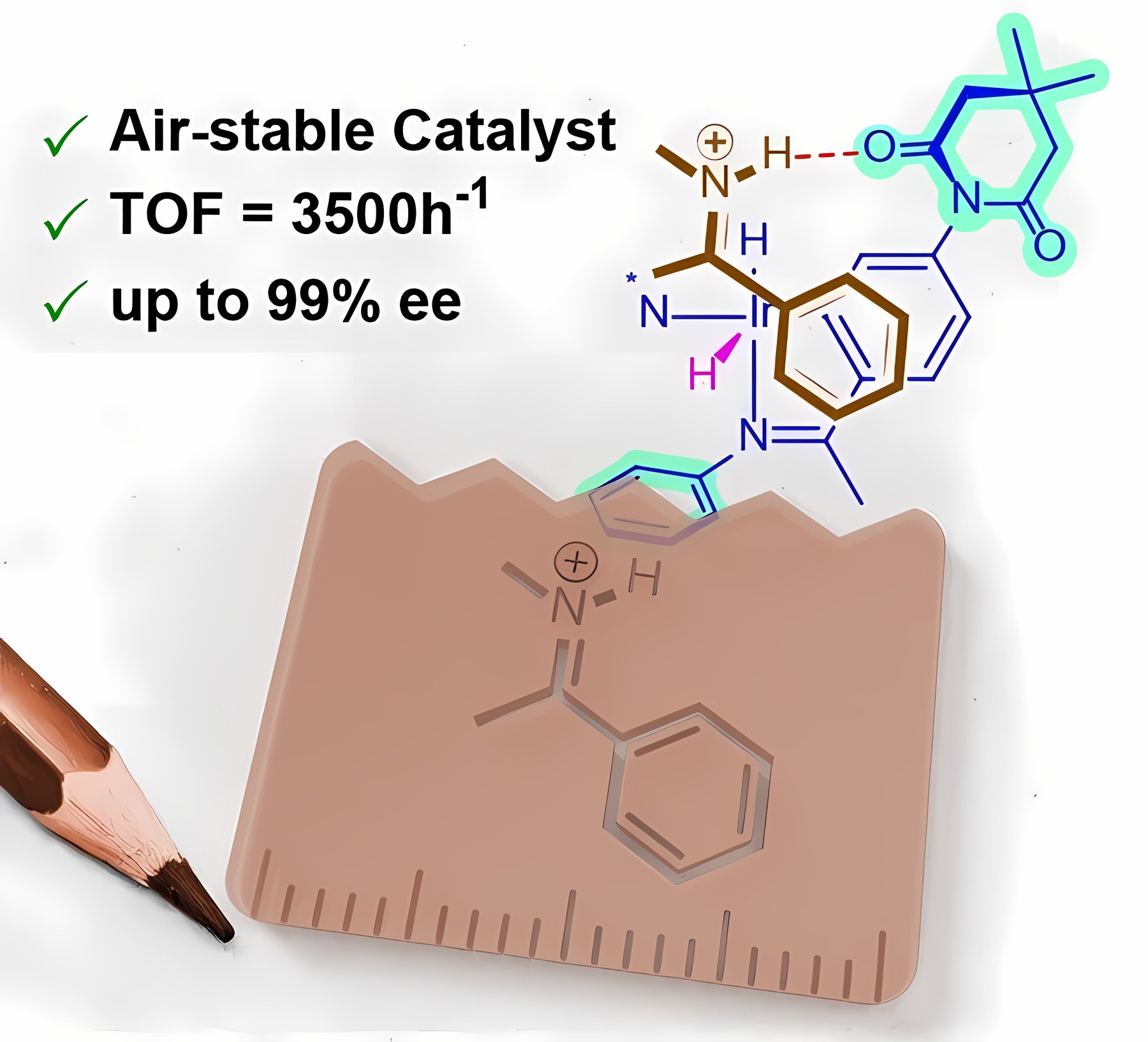 Graphical abstract: Cyclometallated Imides as Templates for the H-Bond Directed Iridium-Catalyzed Asymmetric Hydrogenation of N-Methyl, N-Alkyl and N-Aryl Imines