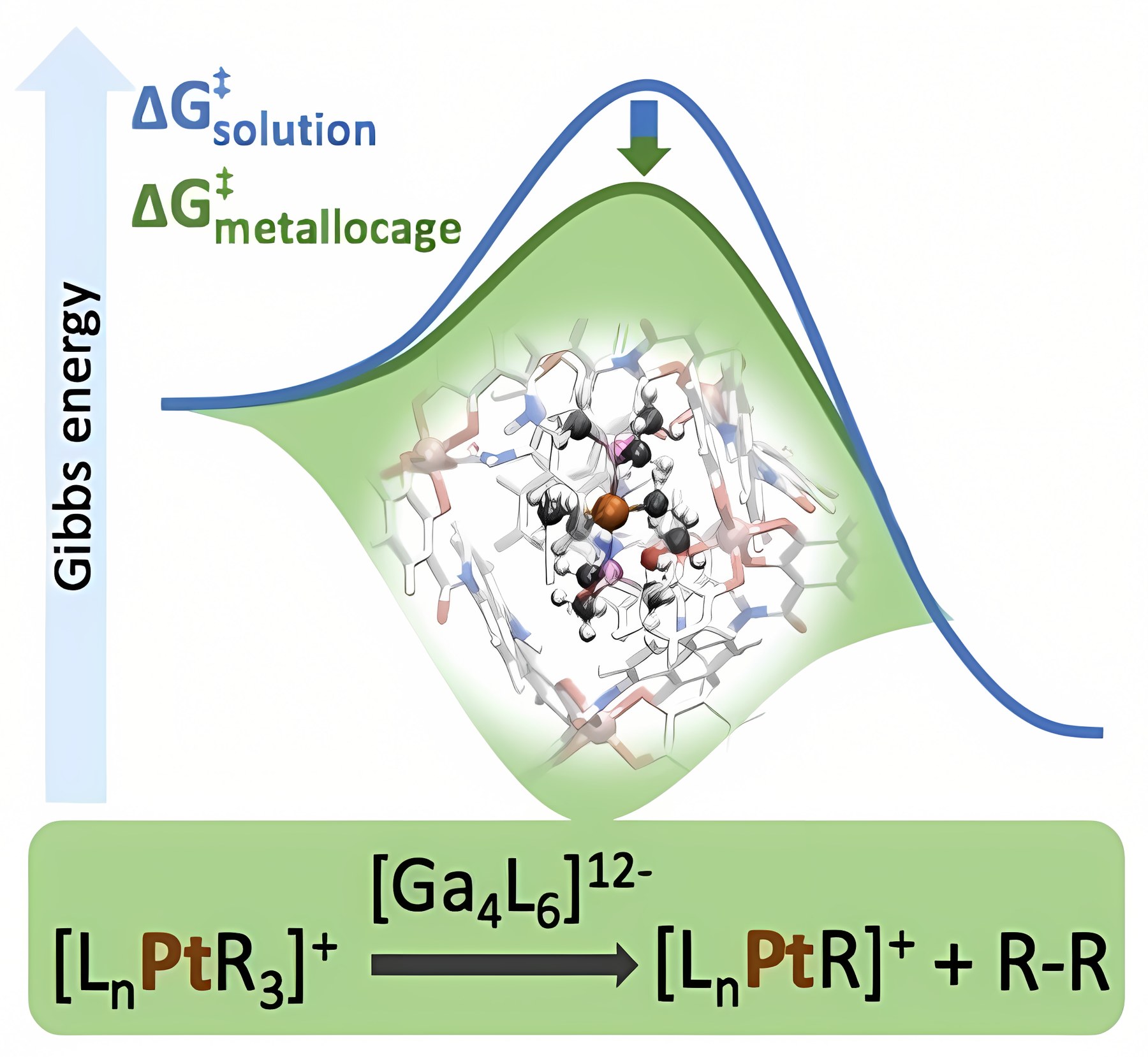 Graphical abstract: Origin of the Rate Acceleration in the C–C Reductive Elimination from Pt(IV)-complex in a [Ga₄L₆]¹²⁻ Supramolecular Metallocage