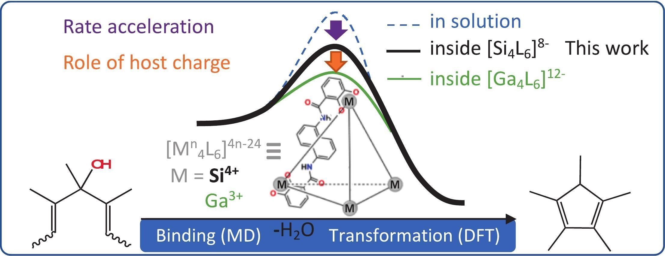 Graphical abstract: Modeling Nazarov cyclization inside a [Si₄L₆]⁸⁻ nanocage: effects of charge and size