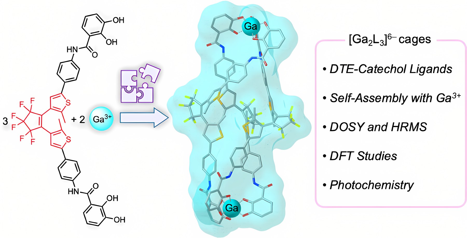Graphical abstract: Synthesis, Characterization, and Photochemistry of a Ga₂L₃ Coordination Cage with Dithienylethene-Catecholate Ligands