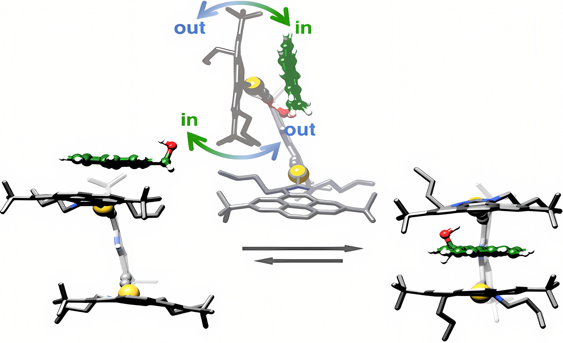 Graphical abstract: Guest Binding Mechanism of Polycyclic Aromatic Hydrocarbons by Au(I) Metallo-Tweezers Revealed by Computation