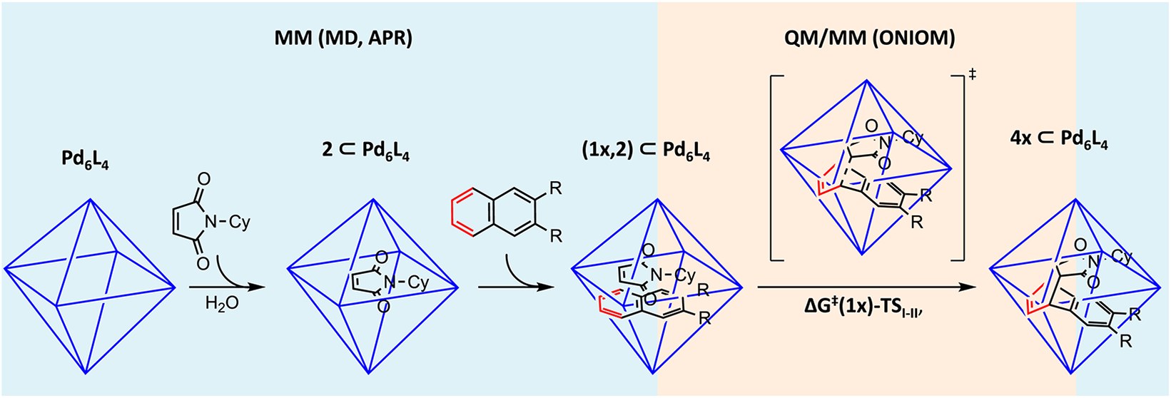 Graphical abstract: Diels–Alder inside a Pd6L4 cage
