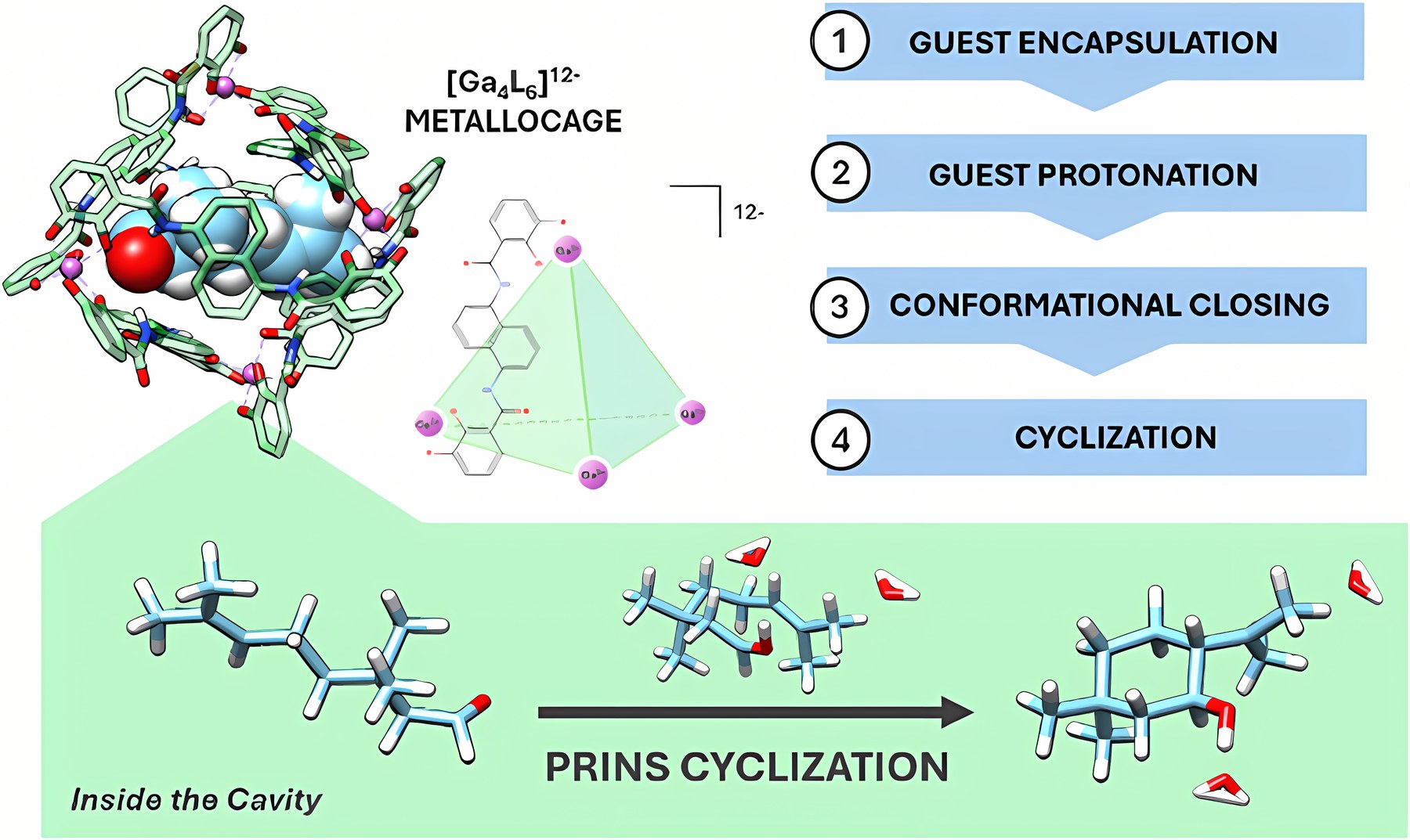 Graphical abstract: Prins cyclization inside a Ga4L6 cage