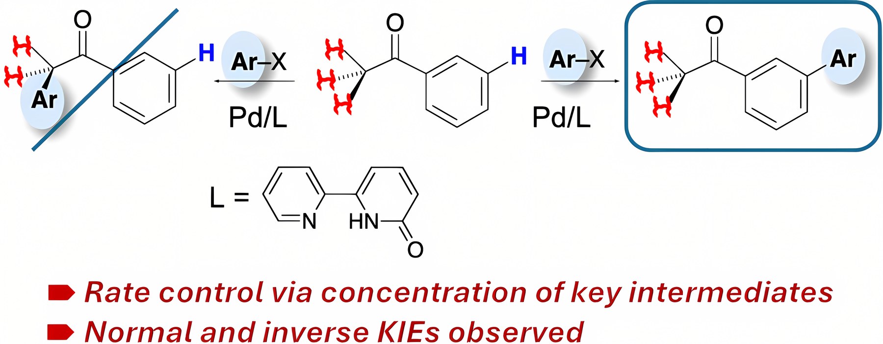 Graphical abstract: Overriding the Expected Reactivity in C–H Bond Functionalization: Chemoselective C(sp²)–H Arylation