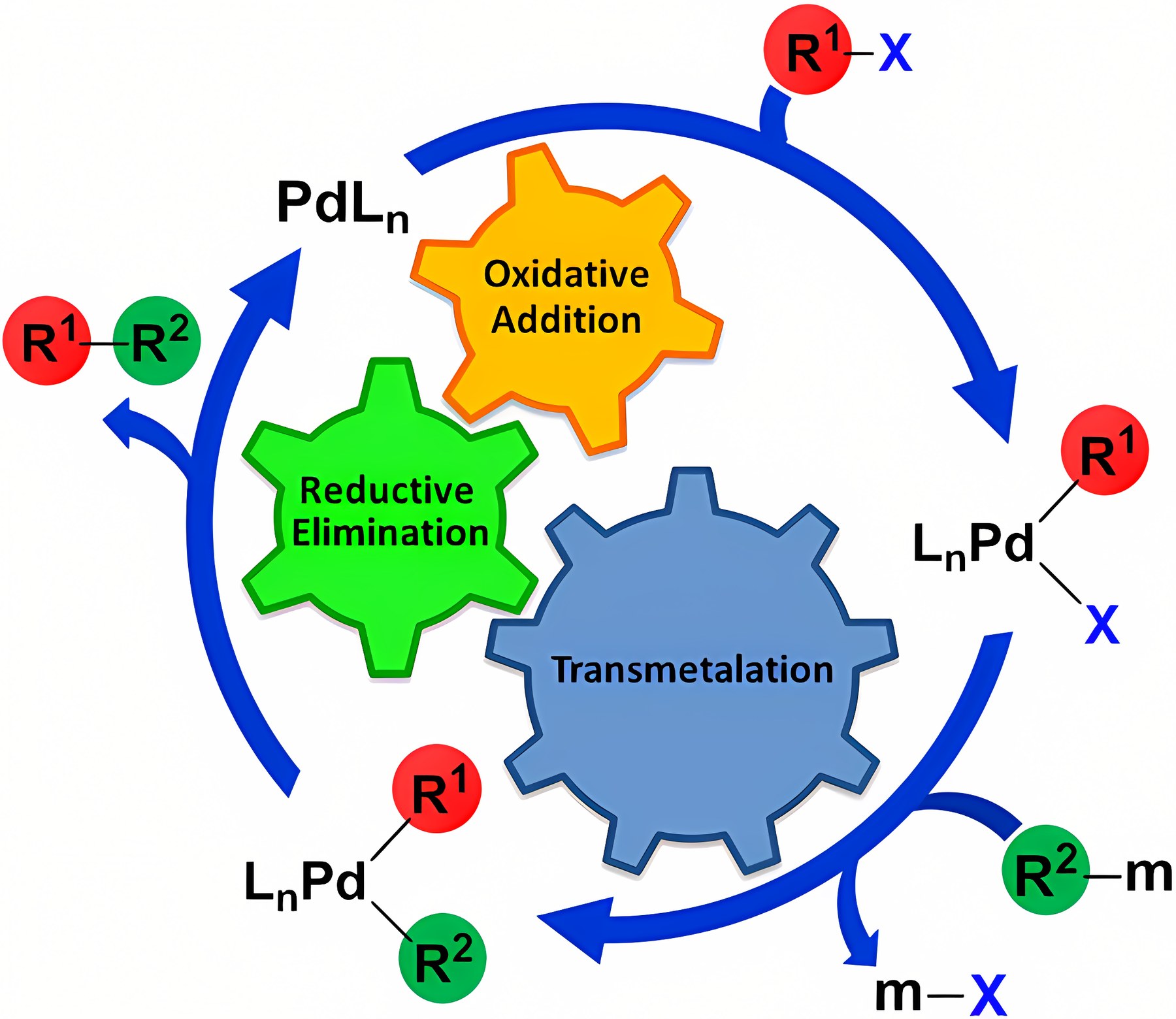 Graphical abstract: Computational Perspective on Pd-Catalyzed C–C Cross-Coupling Reaction Mechanisms