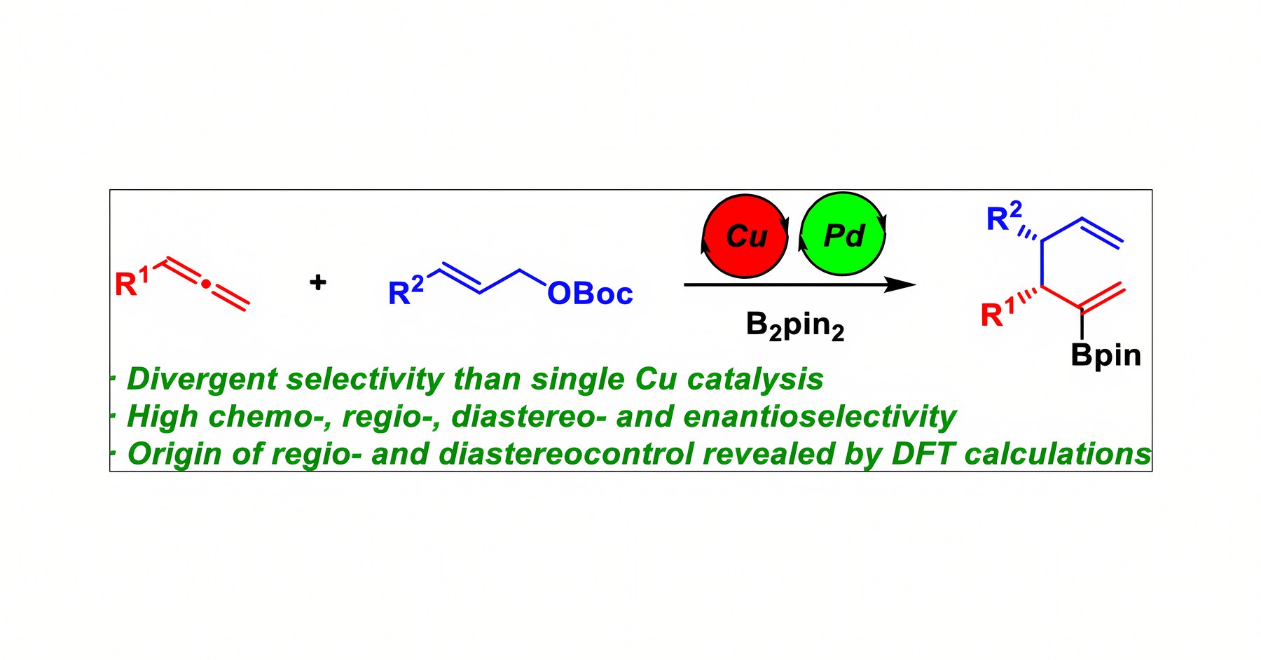 Graphical abstract: synergistic Cu/Pd catalysis
