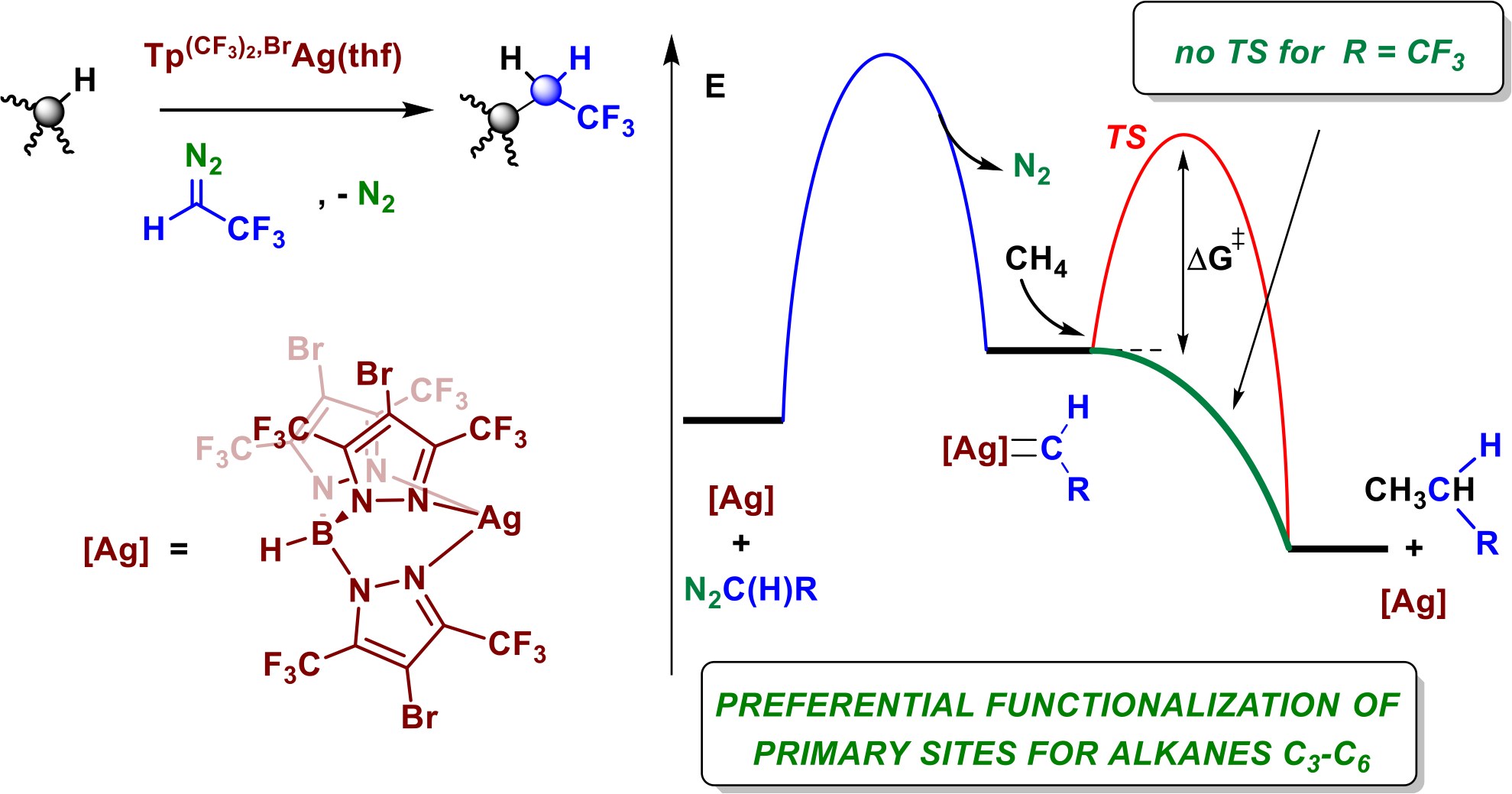 Graphical abstract: Alkanes C1–C6 C–H Bond Activation via a Barrierless Potential Energy Path: Trifluoromethyl Carbenes Enhance Primary C–H Bond Functionalization