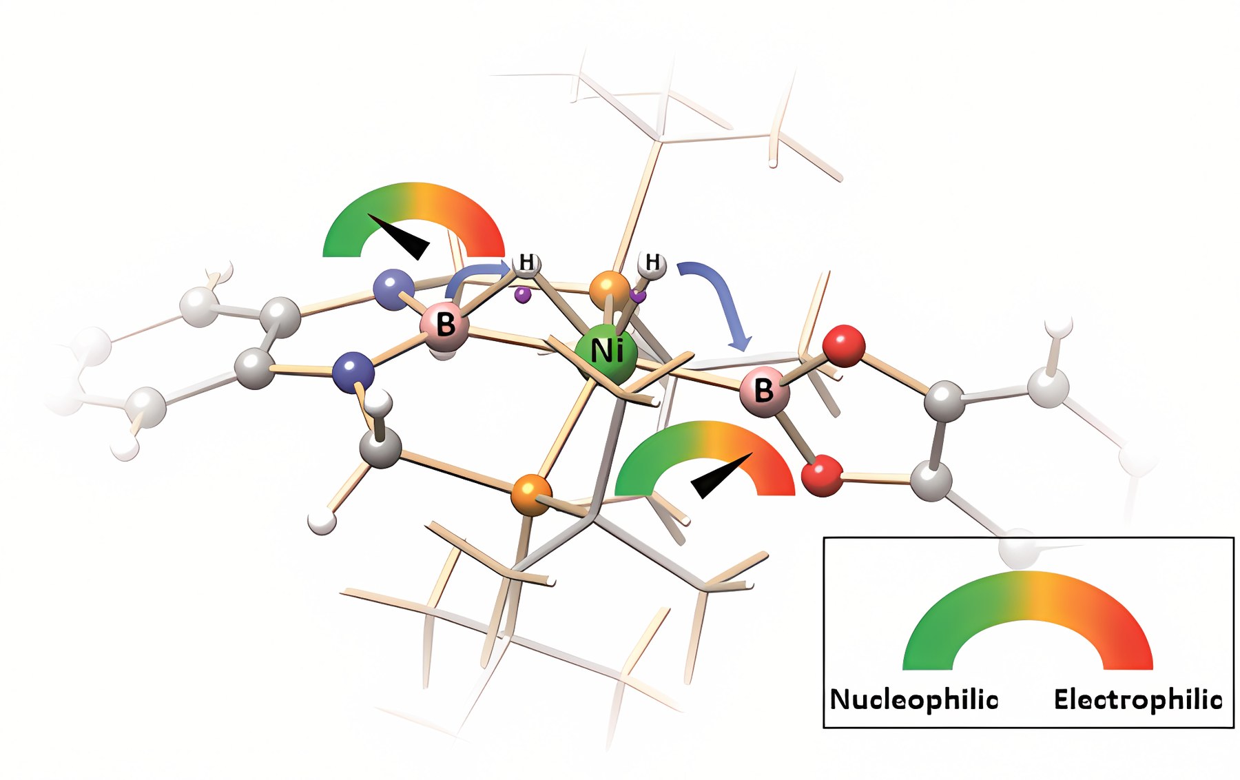Graphical abstract: Ambiphilic boryl groups in a neutral Ni(II) complex: a new activation mode of H₂