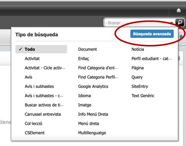 Captura de pantalla parcial del cercador d'assets a Oracle Webcenter Sites