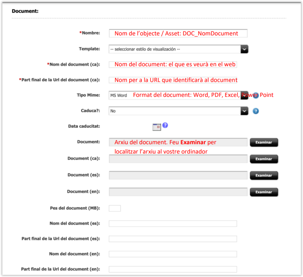 Captura de pantalla del formulari d'un document