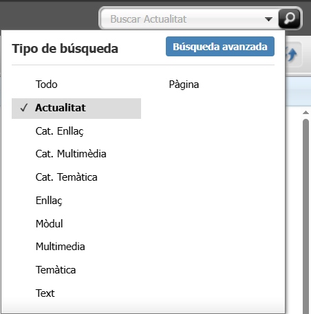 Captura de pantalla parcial de la sel·lecció d'un sol tipus d'asset al cercador d'assets a Oracle Webcenter Sites