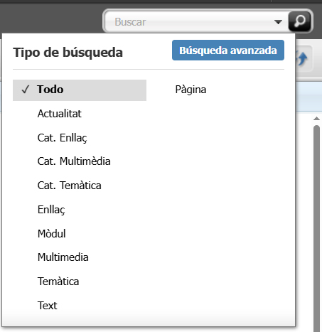 Captura de pantalla parcial del cercador d'assets a Oracle Webcenter Sites
