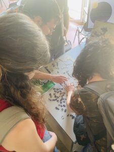 Escola d'Estiu de Doctorat 2025