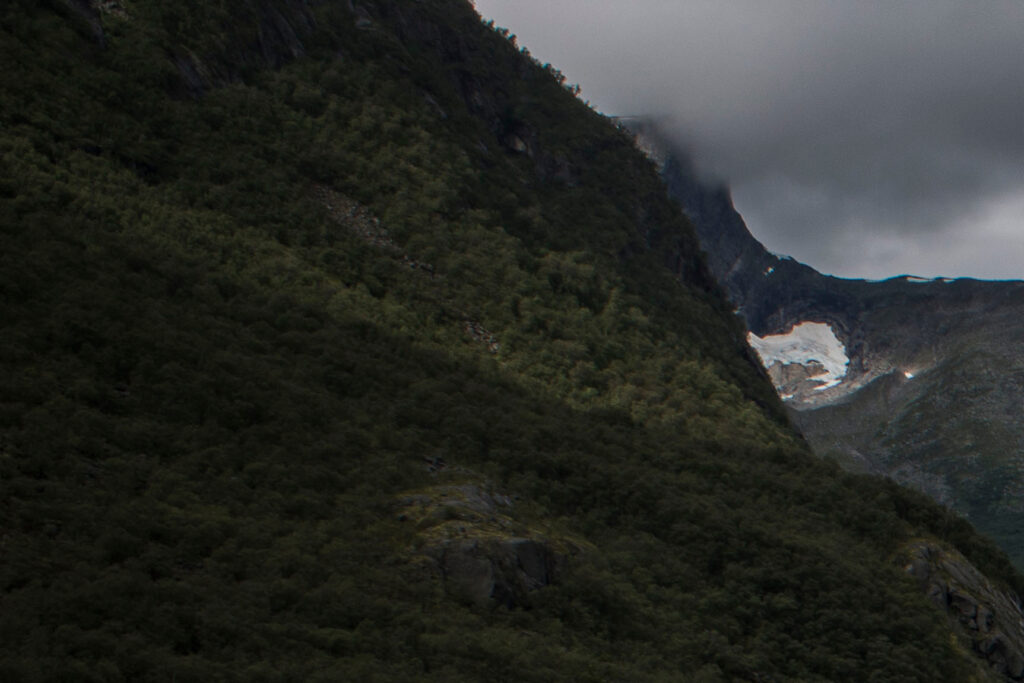"Ecosistema de la glacera de Bricksdal, Parc Nacional de Jostedalsbreen, Noruega" - Joan Arnijas Fàbregas
