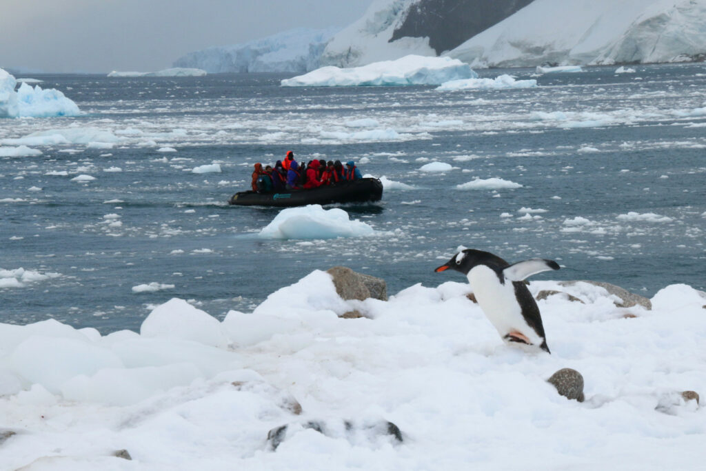"Fugim !!! Neko Harbor - Antàrtida" - Jordi Marquet Cortes