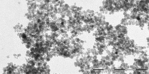 Image of nanoparticles