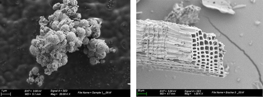 Imatge de microscopia electrònica de rastreig on es pot observar els suports estables estudiats, el quitosan (dreta) i el biochar (esquerra), per immobilitzar les nanopartícules de coure catalitzadores de la conversió de diòxid de carboni a metanol.