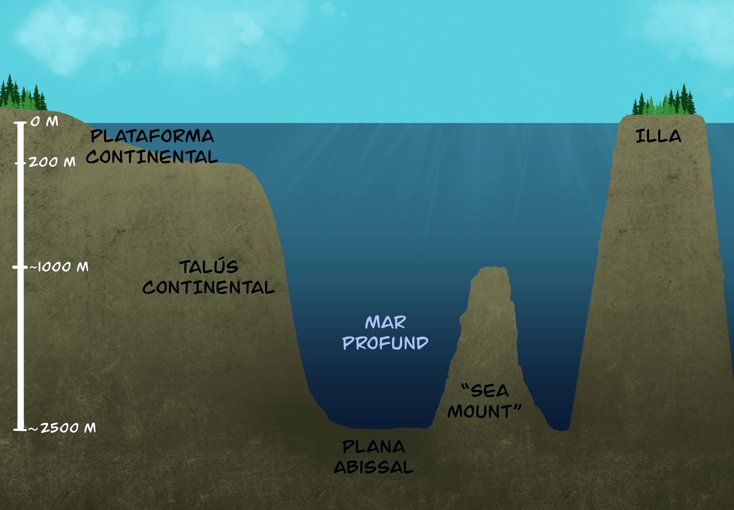 La imatge mostraria un esquema de les diferents zones del mar. Amb la plataforma continental, el talús, la plana abisal...