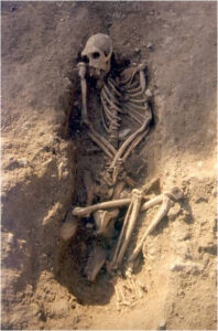 Enterrament del macaco (segles V-VI dC)