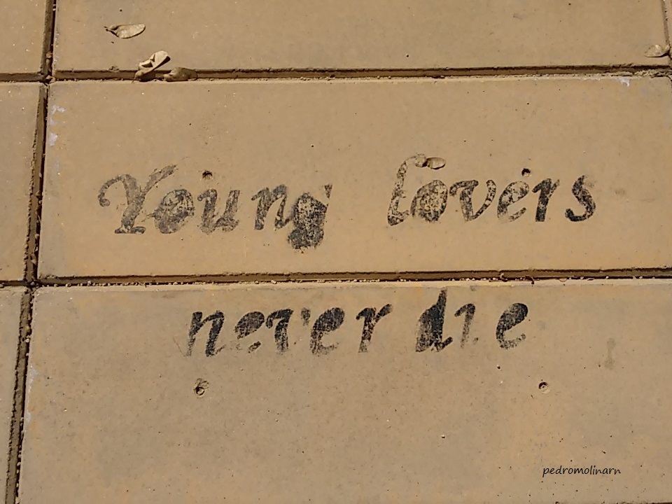 young-lovers-never-die