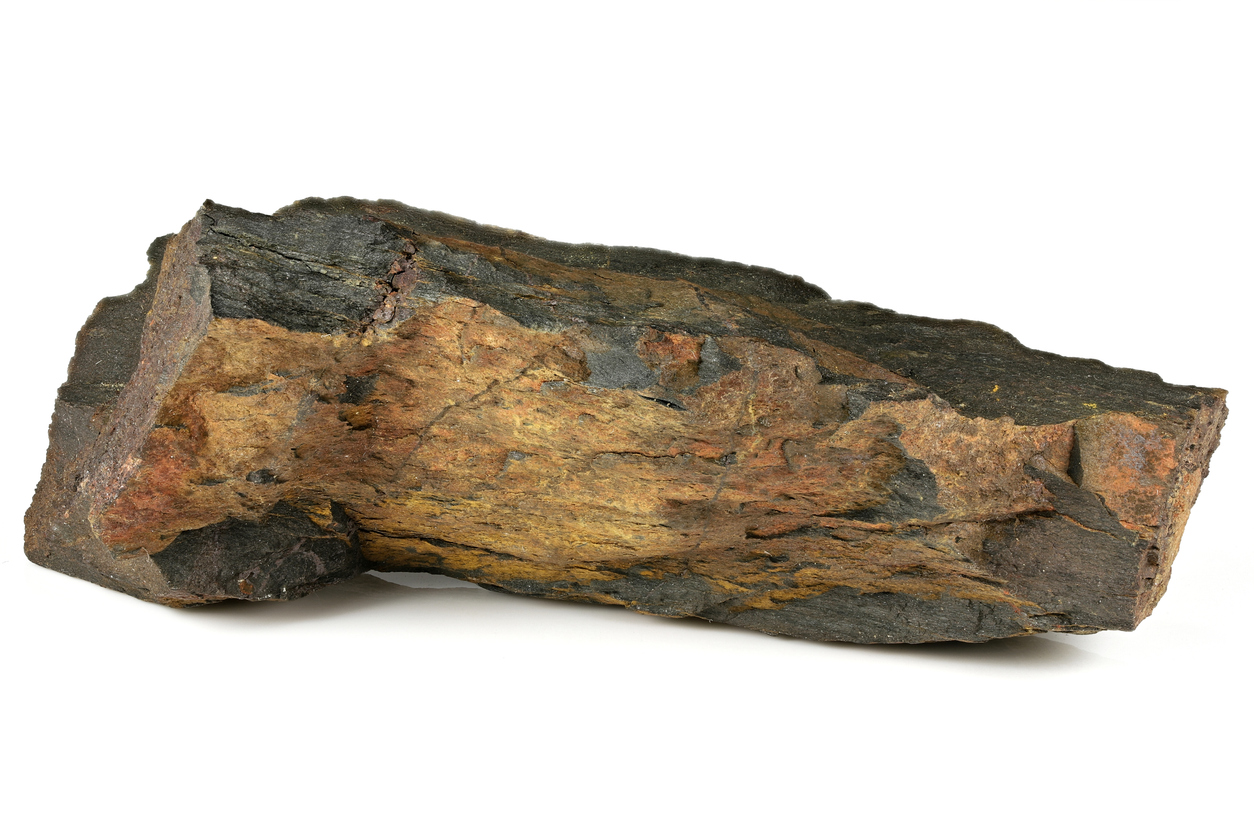 Detecció de pràctiques d'arboricultura a jaciments romans a partir de l'estudi de la fusta