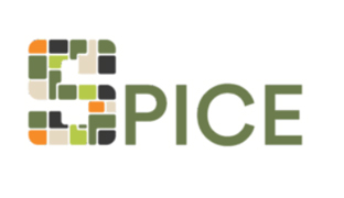 Logo Spice