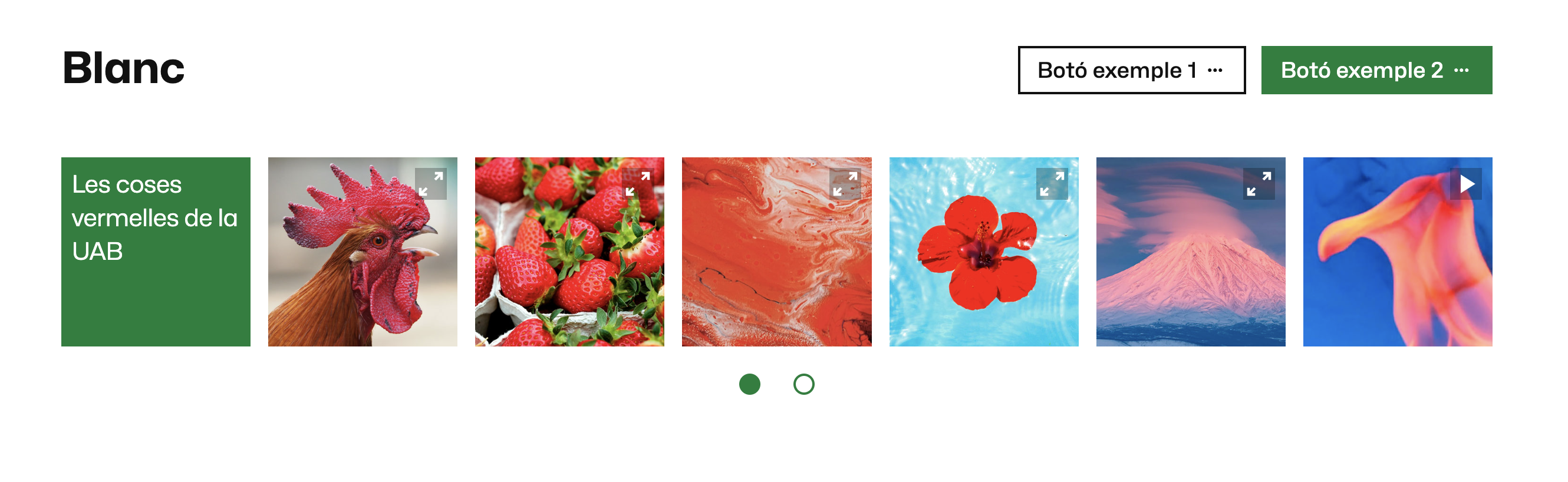 Exemple de galeria multimèdia en carrusel