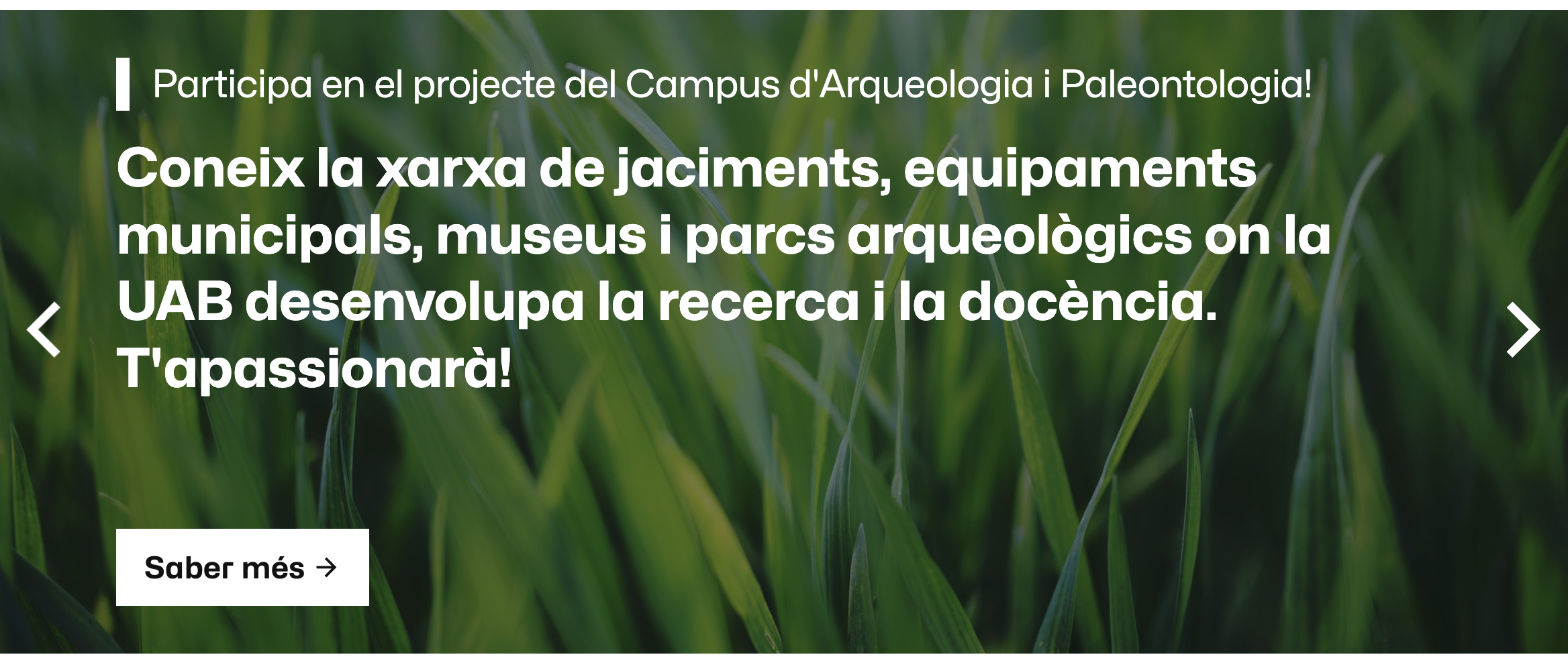 Exemple de fila de carrusel