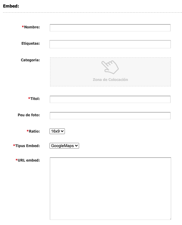 Camps de l'asset Multimèdia de tipus Embed