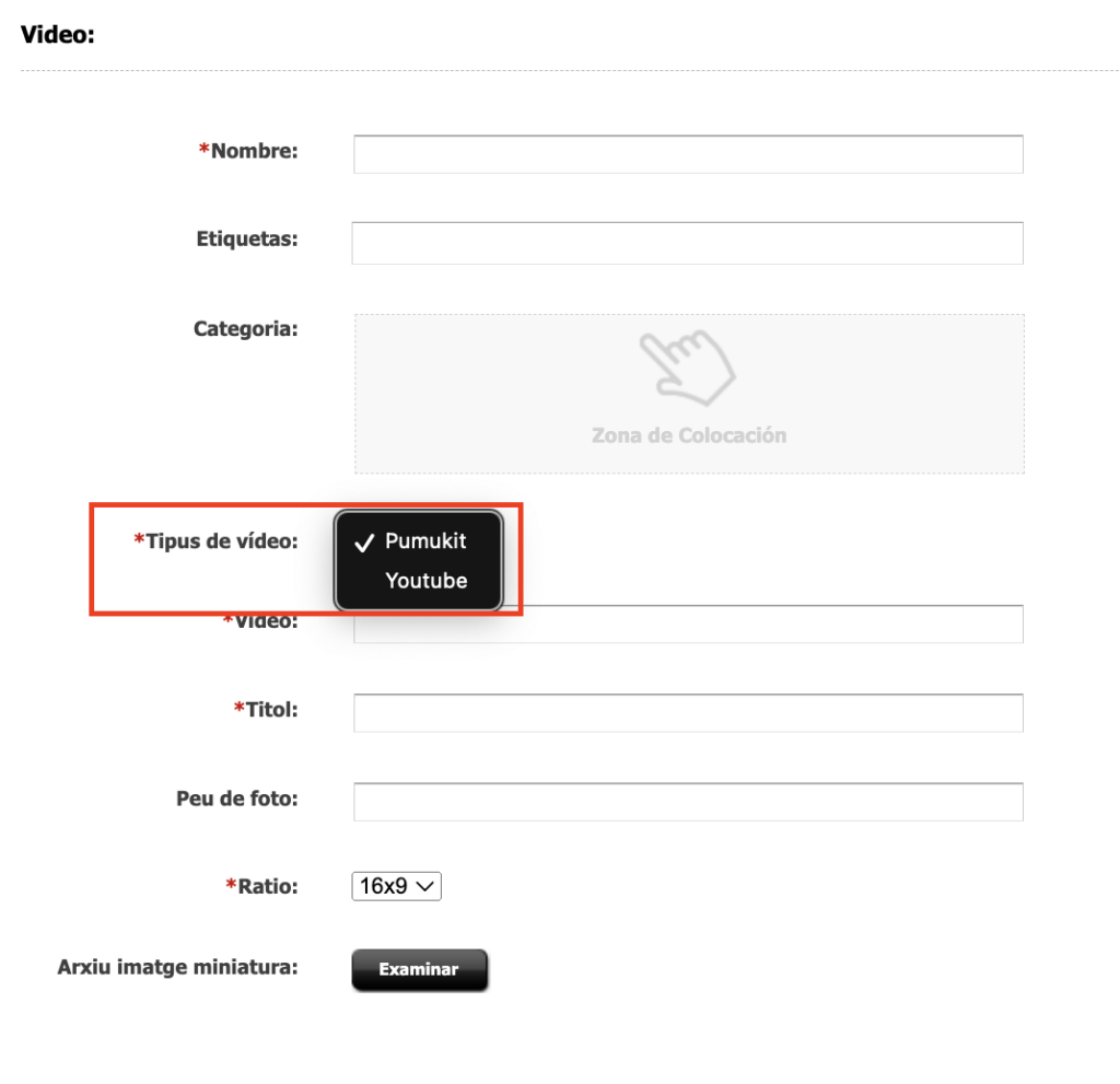 Camp de l'asset multimèdia vídeo on podrem indicar la font del vídeo: Pumukit o Youtube