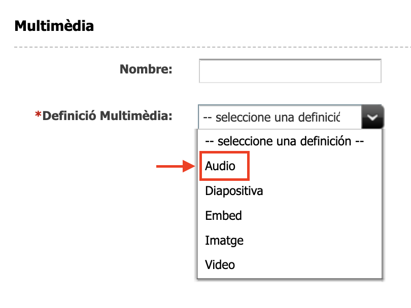 Captura de pantalla de les definicions de l'asset multimèdia on s'ha resaltat la definició Àudio