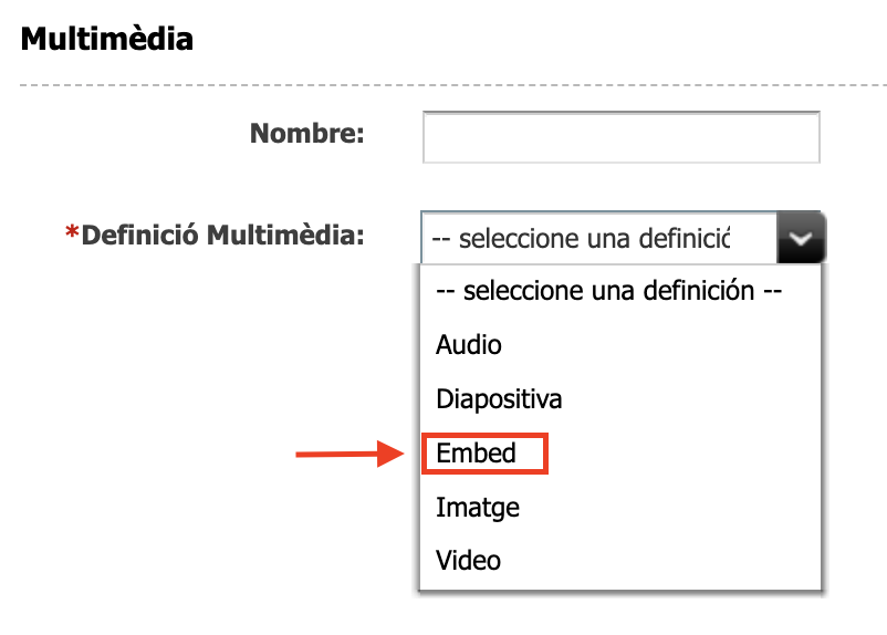 Captura de pantalla de les definicions de l'asset multimèdia on s'ha resaltat la definició Embed
