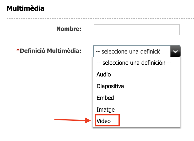 Captura de pantalla de les definicions de l'asset multimèdia on s'ha resaltat la definició Vídeo