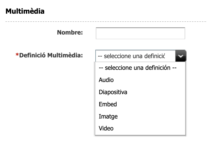 Tipus d'asset multimèdia: Àudio, Diapositiva, Embed, Imatge i Vídeo