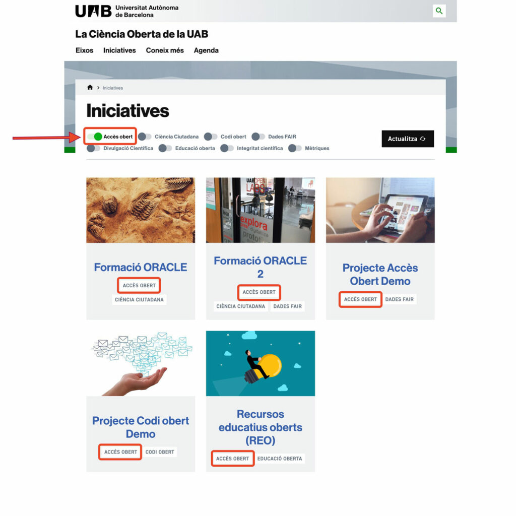 Exemple de pàgina amb llistat de Fitxes on s'ha filtrat per un categoria