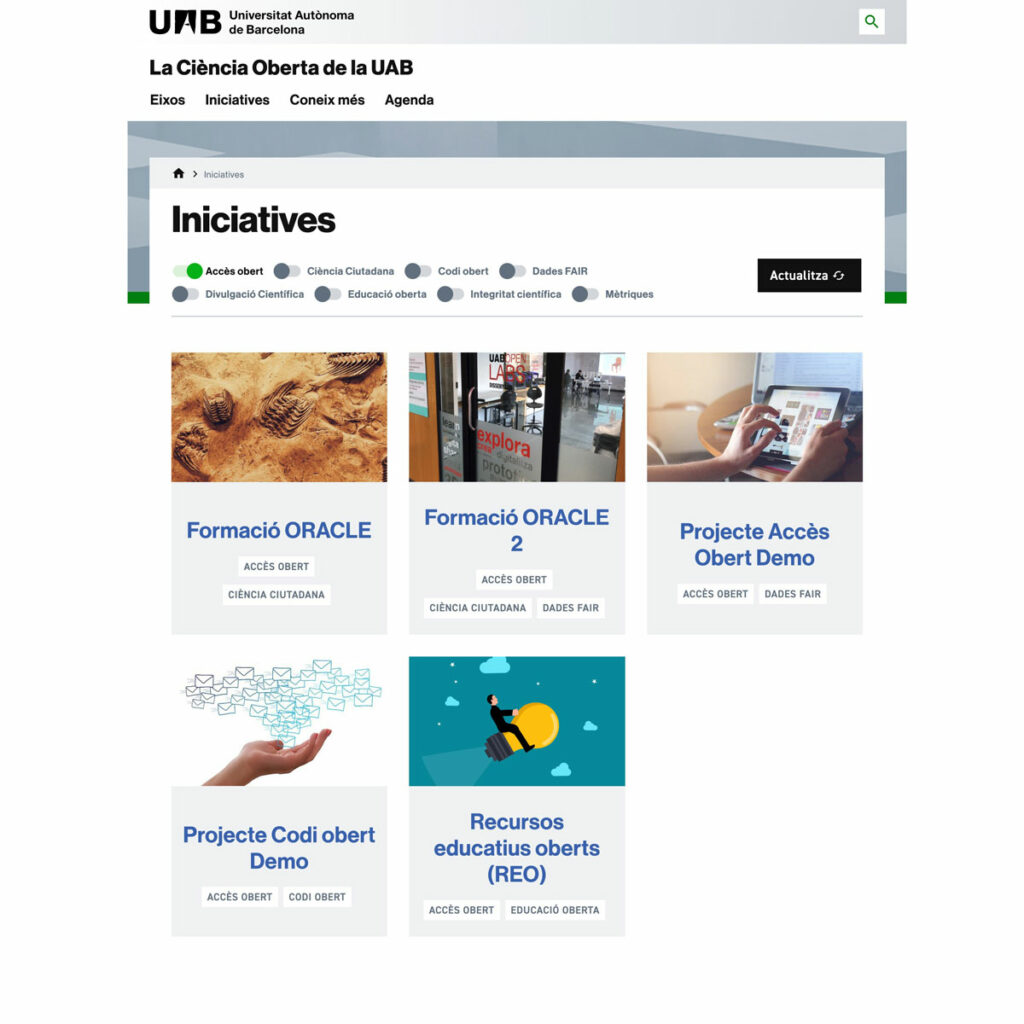 Exemple d'una llistat de fitxes on s'ha seleccionat una categoria