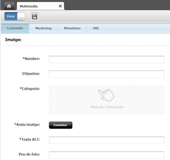 Captura de pantalla parcial del formulari de l'asset multimèdia Imatge a Oracle Webcenter Sites