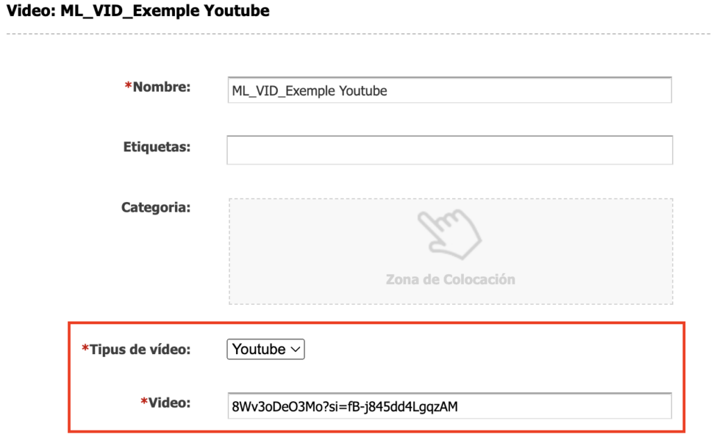 Camps de l'asset multimèdia vídeo on podem indicar que el vídeo prové de Youtube i quin codi l'identifica