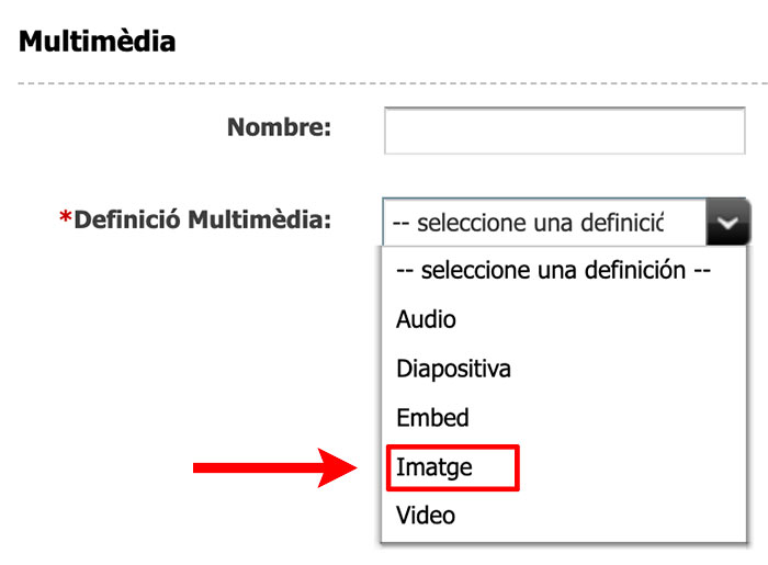 Captura de pantalla de les definicions de l'asset multimèdia on s'ha resaltat la definició Imatge