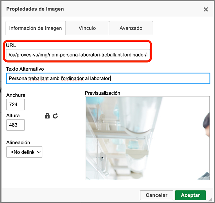 Captura de pantalla del quadre de propietats de la imatge amb el camp URL resaltat