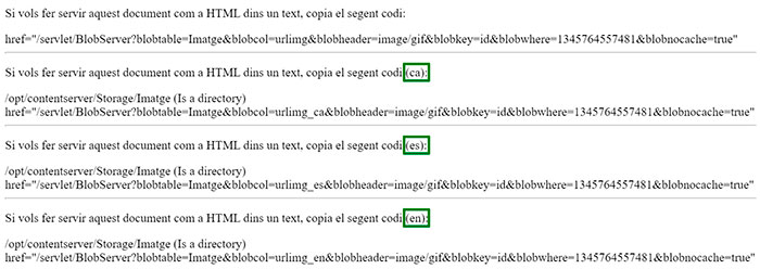 Captura de pantalla de la previsualització d'un asset imatge