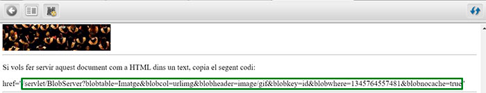Captura de pantalla de la previsualització d'un asset imatge