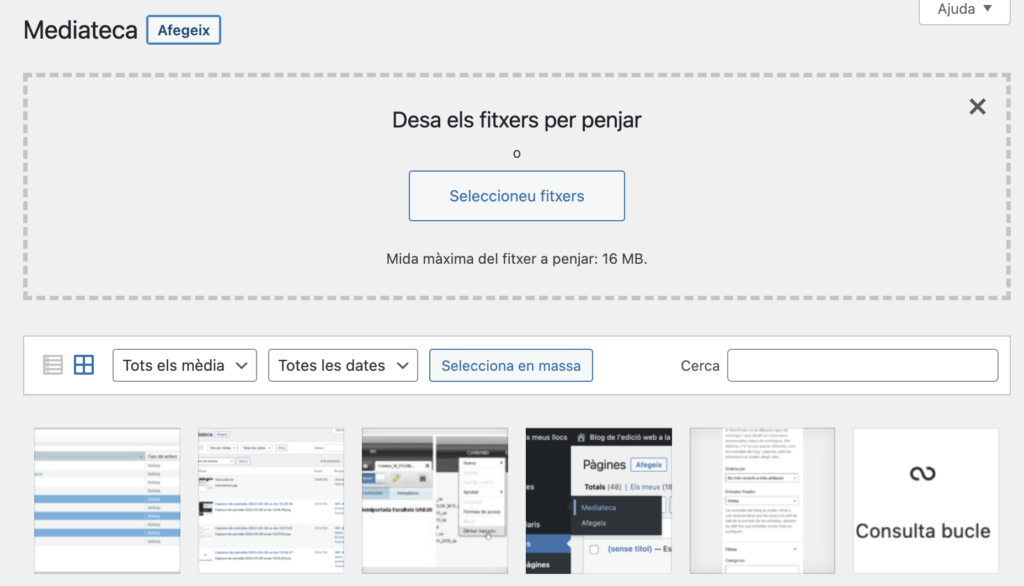 Aspecte de la biblioteca de medis de WordPress.